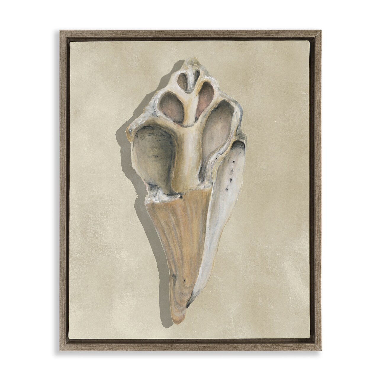 Stupell Industries Broken Conch Shell Floating Frame By Michael Willett